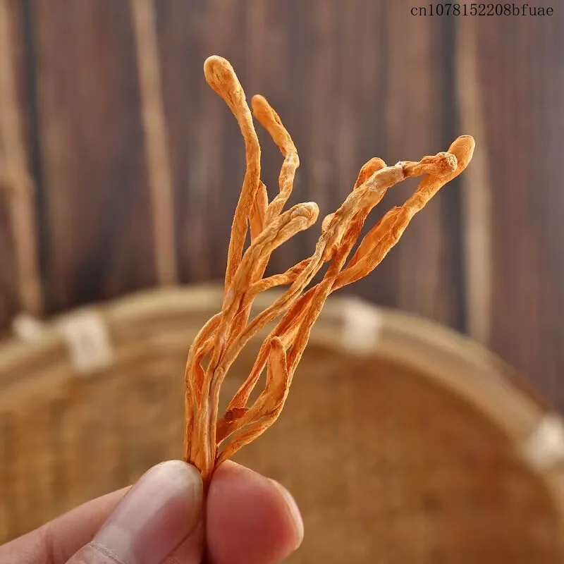 250g/500g Gedroogde Cordyceps  - Chamomile Tea recensie en prijs